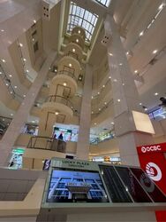 Lucky Plaza (D9), Shop House #575885361
